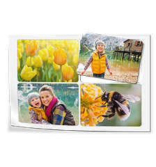 Magnetic Photo Stickers Magnetic Photo Stickers