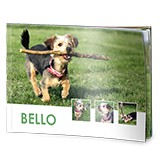 Pixum Photo Book mini (landscape)